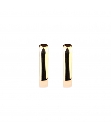 Gold oval earrings - 1